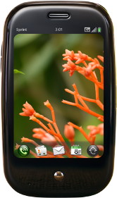 palmpre