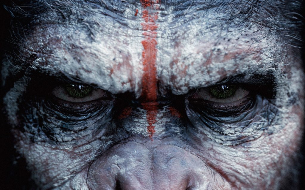Caesar-in-Dawn-Of-The-Planet-Of-The-Apes-Wallpaper