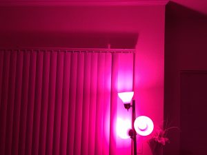 phillips_hue_best_buy_tj_jordan_review-2