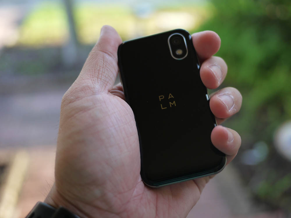 Palm Unlocked